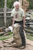 When shearing sheep, you wear special shoes to keep from injuring them.