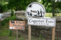 Coggeshall Farm in Bristol RI hosts the Fiber Festival every year.